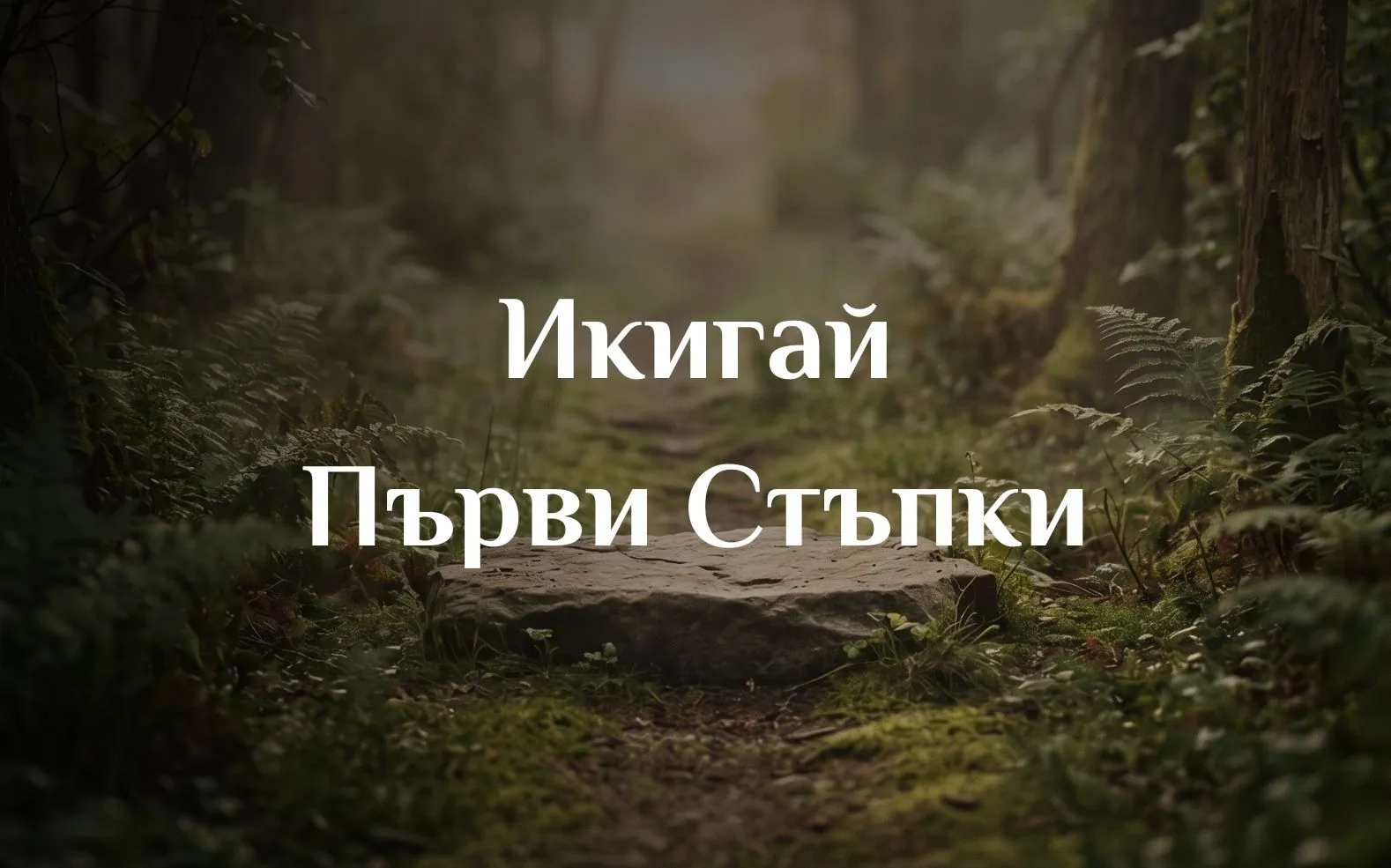 Икигай Първи стъпки