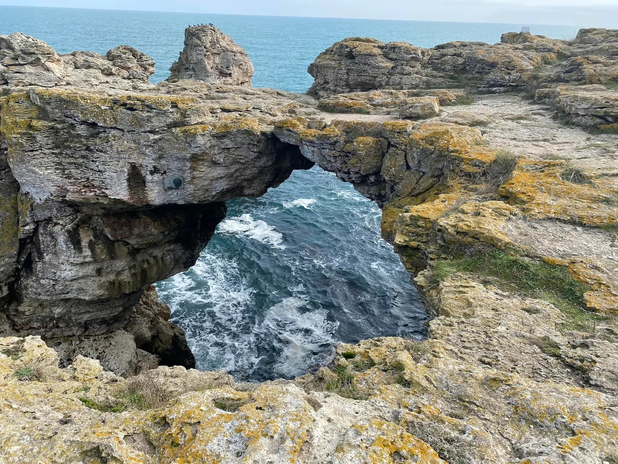 Дивото Черно море при Тюленово